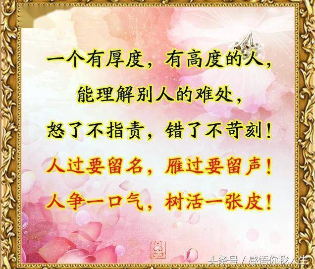 曾闻古德有深言，秋晚东林落木疏打一准确生肖请全面释义、解释与落实、专家解答解释落实