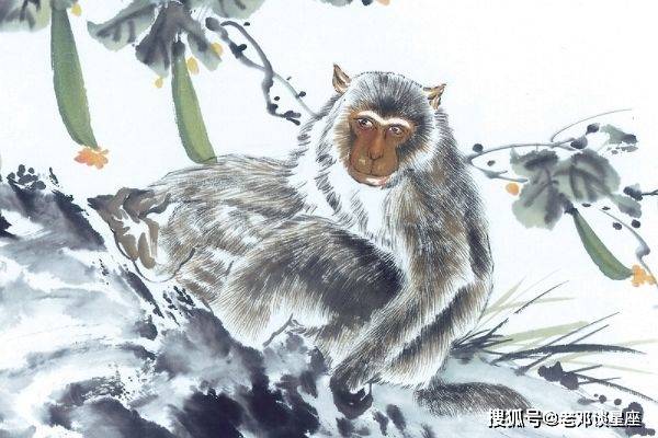 天大地大相扶持逢贵人指点笔颜开生肖与警惕虚假宣传-全面释义、深度解答解释落实